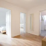 T&k - - 22 Min Messe Dus & Airport Dus Apartment